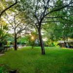 Disfrute de la serenidad de los jardines. 