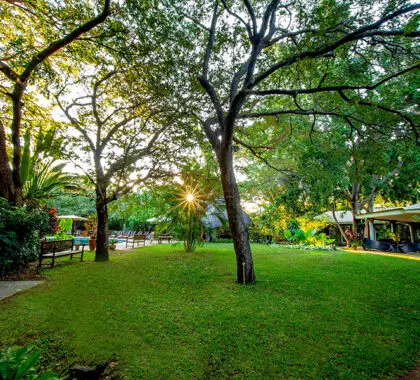 Disfrute de la serenidad de los jardines. 