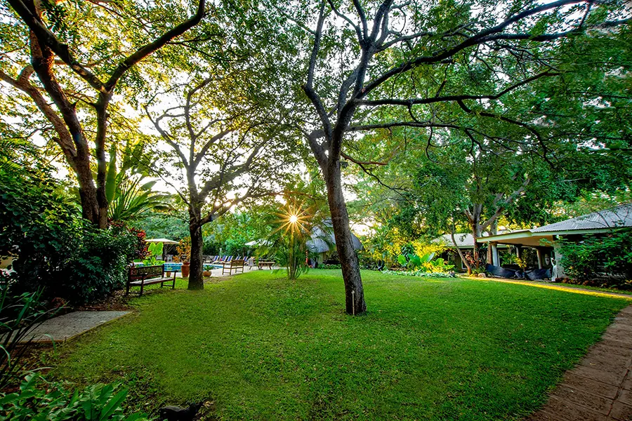 Disfrute de la serenidad de los jardines. 