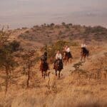 Experience the bush in a unique way, on horseback. 