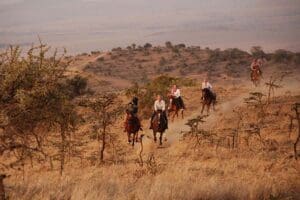 Experience the bush in a unique way, on horseback. 
