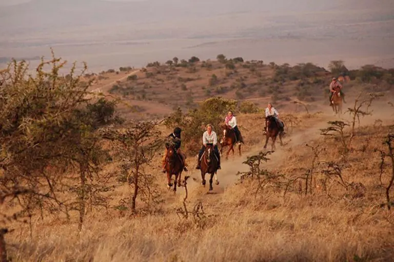 Experience the bush in a unique way, on horseback. 