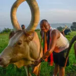 Abundan las experiencias culturales.