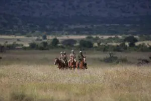 Safari a caballo.