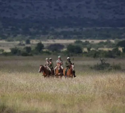 Safari a caballo.