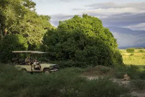 game-drives-in-mana-pools