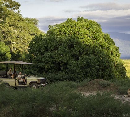 game-drives-in-mana-pools