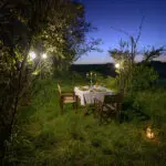 Private dinners in the wilds. 