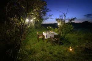Private dinners in the wilds. 
