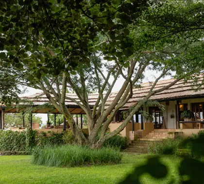 kyambura-gorge-lodge-3