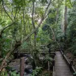 Exuberante entorno en el Kyambura Gorge Lodge