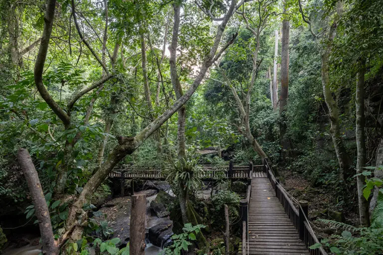 Lush surroundings at Kyambura Gorge Lodge