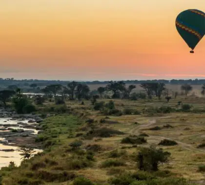 Lemala Mara Mobile Tented Camp_mara_dsc07261