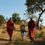 Paseos guiados con los masai.