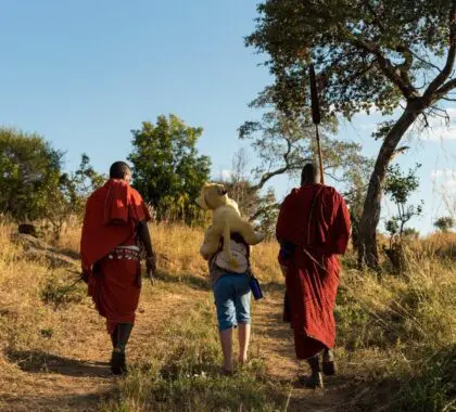 Paseos guiados con los masai.