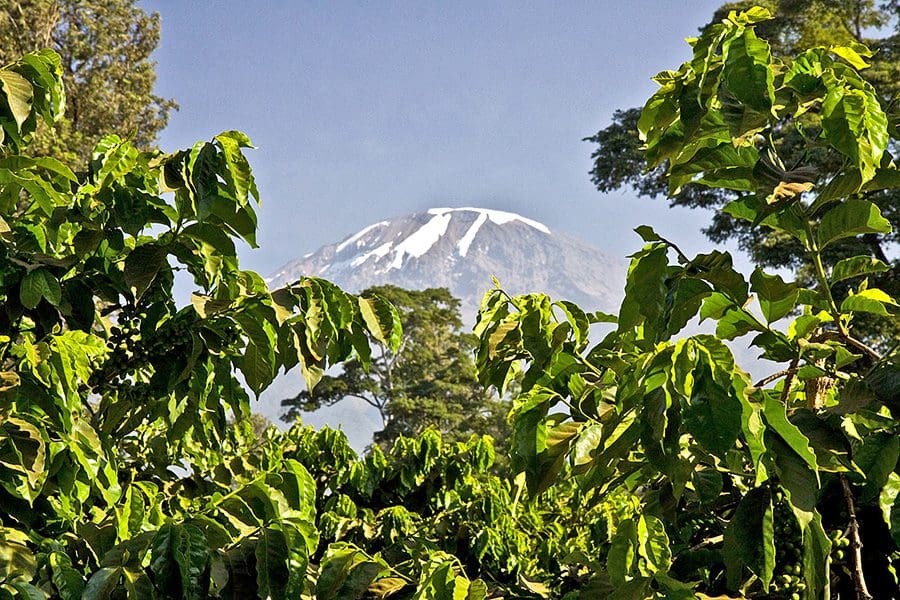 tanzania-experience_kilimanjaro_01