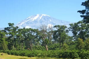tanzania-experience_kilimanjaro_02