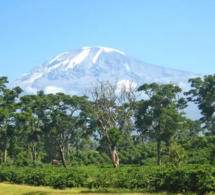 tanzania-experience_kilimanjaro_02