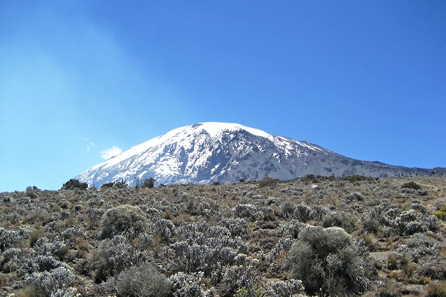 tanzania-experience_kilimanjaro_17