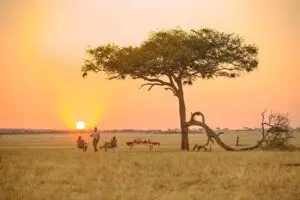 Sundowners with a view.