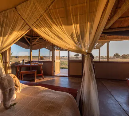 campamento-hwange-31