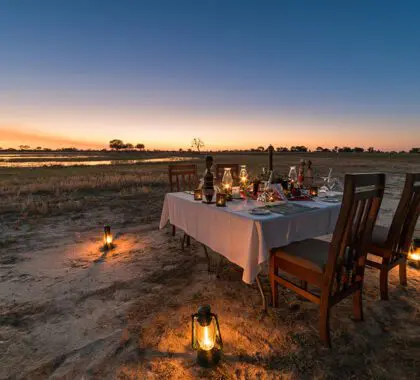 camp-hwange-bush-dinner