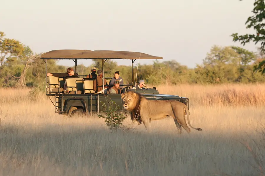 camp-hwange-game-drives