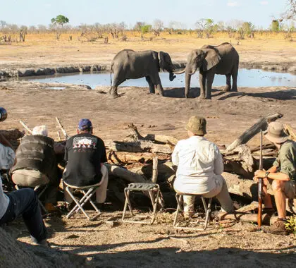 camp-hwange-game-viewing-log-hide