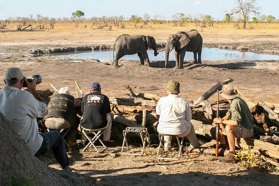 camp-hwange-game-viewing-log-hide