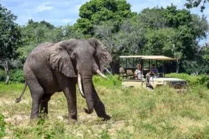 johns_camp_2017-04-78e