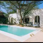 Experience the ultimate in safari luxury.
