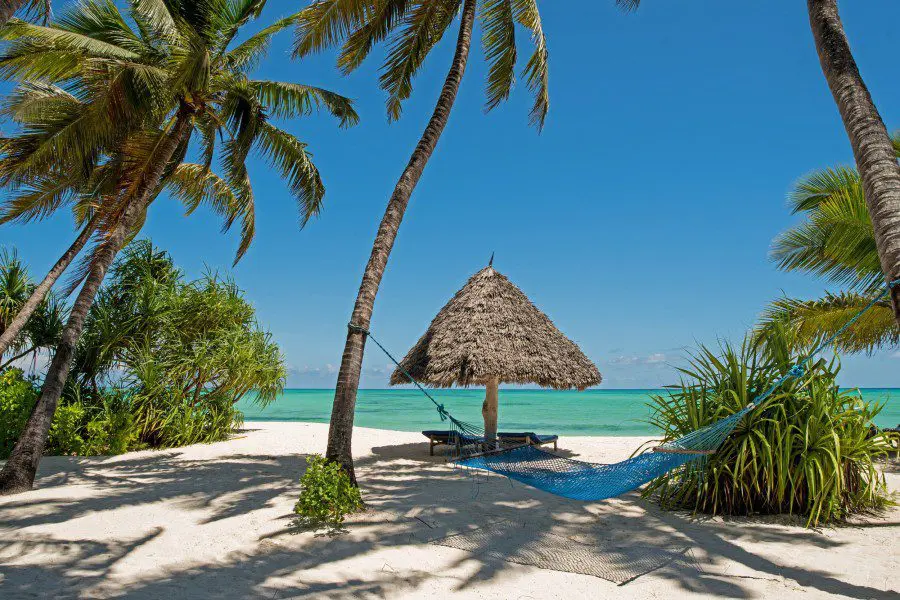 Pongwe Beach is made up of soft white sand, fringed with coconut trees.