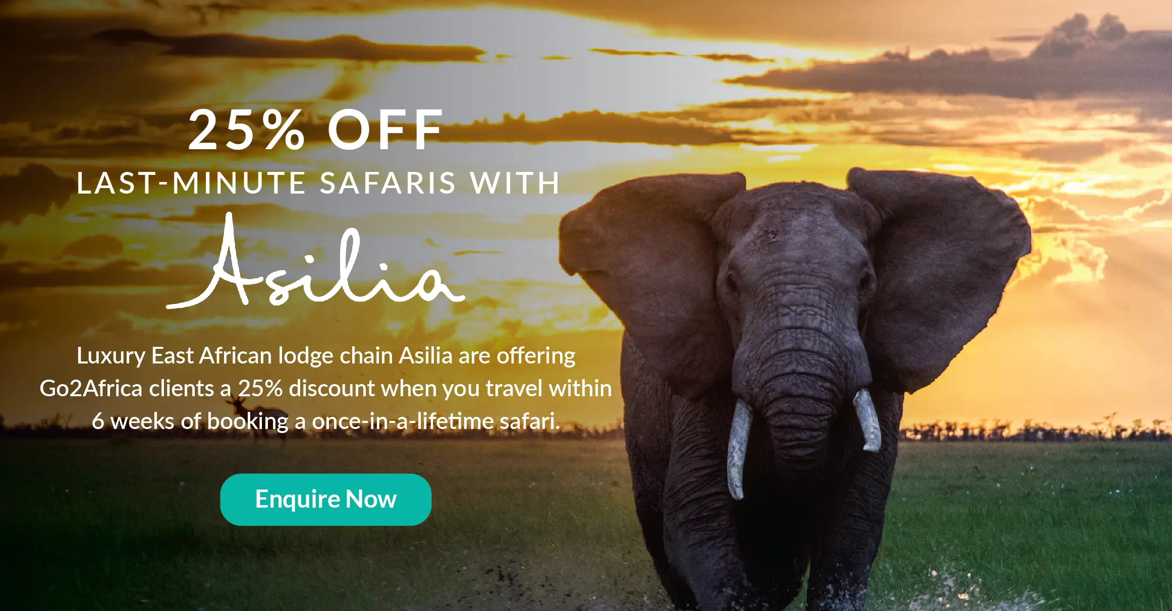 Asilia last minute discount1