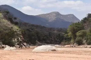 kitich-forest-camp-riverbed-walks