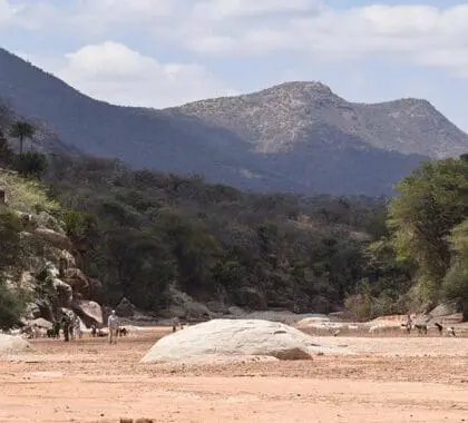 kitich-forest-camp-riverbed-walks