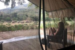 kitich-forest-camp-tent-3