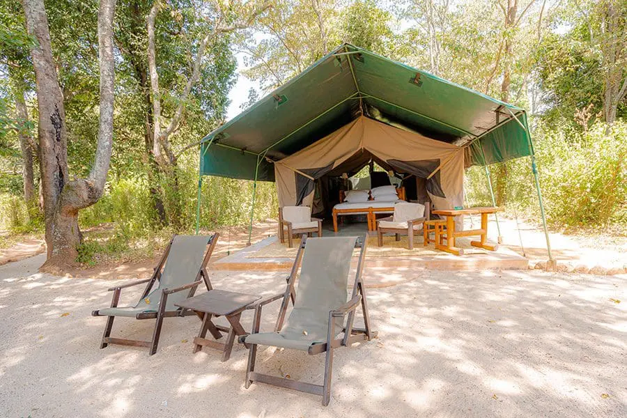 kitich-forest-camp-tent