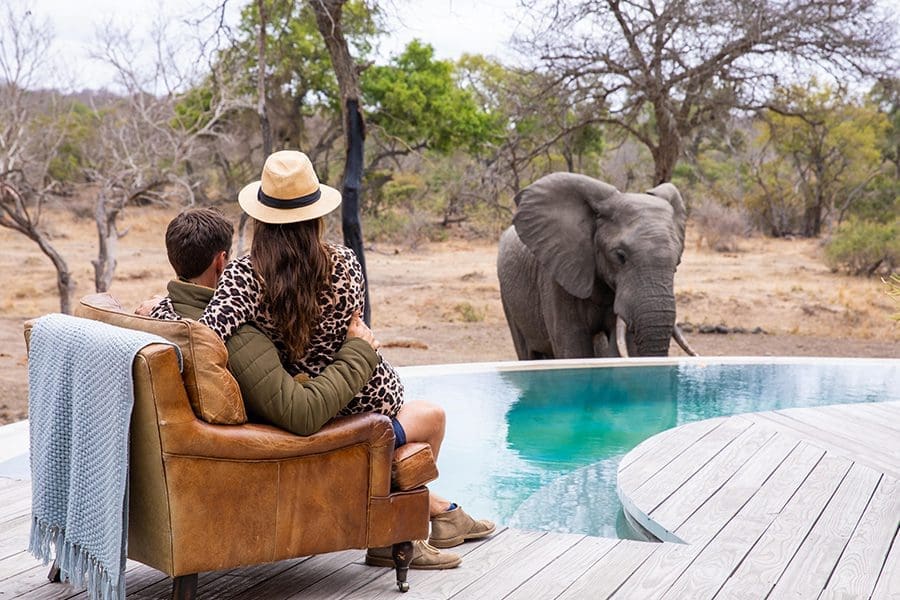 Safari de luna de miel en Kruger, Sudáfrica | Go2Africa