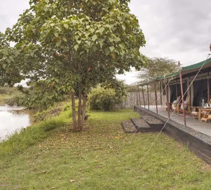 Tent exterior and view at Ol Pejeta