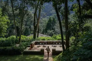 Sumérjase en la naturaleza en el Bwindi Volcanoes Lodge. 