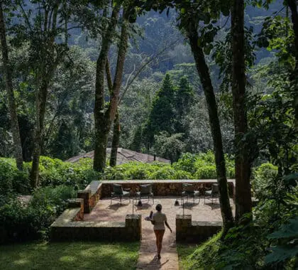 Immerse yourself in nature at Bwindi Volcanoes Lodge. 