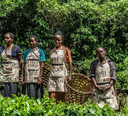 Engage with the local community at Bwindi Volcanoes Lodge. 