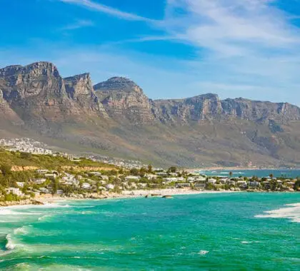 Frolic in the water of Blue Flag beaches in Cape Town.
