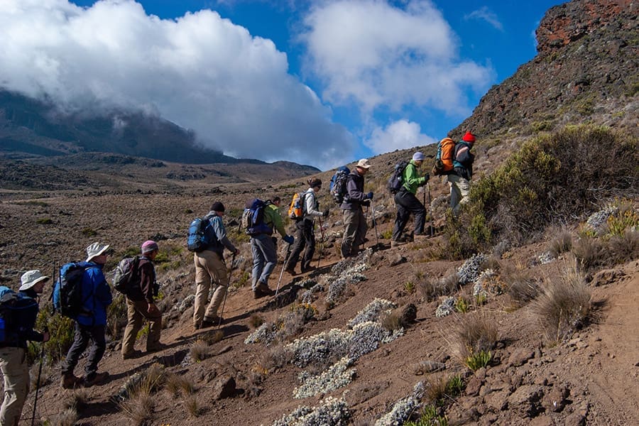 A group of people hiking up the slopes of Mount Kilimanjaro in Tanzania.