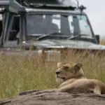 Excelentes avistamientos de fauna. 