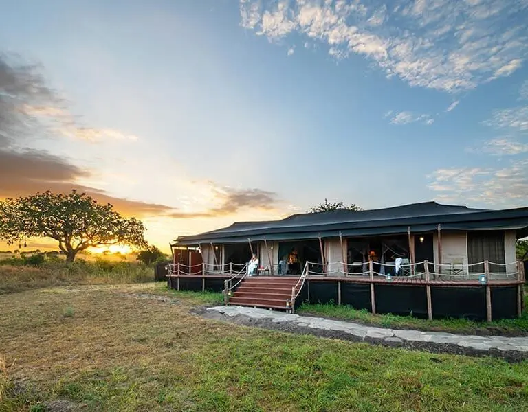 elewana-arena-río-masai-mara_1-3