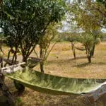 Fancy a siesta under the acacias anyone?