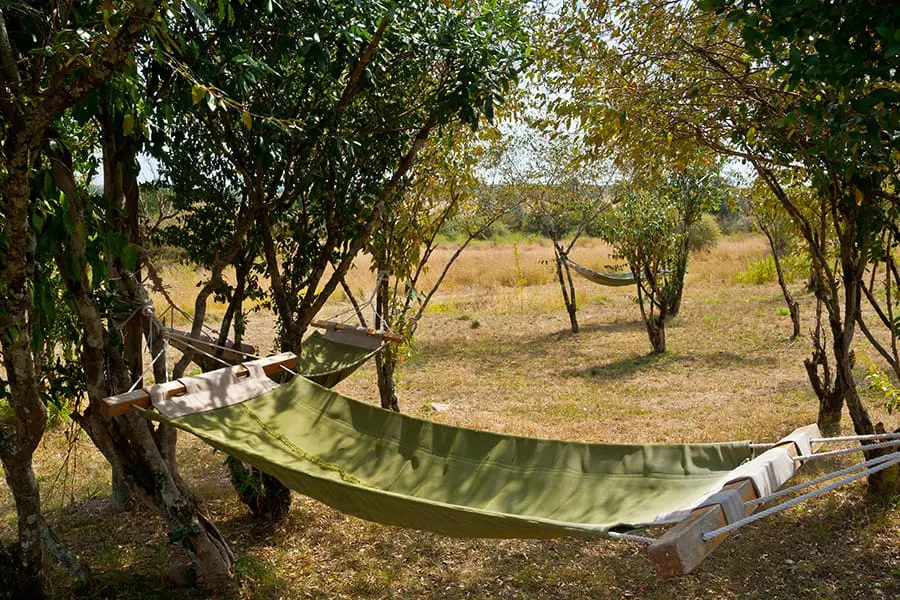 Fancy a siesta under the acacias anyone?