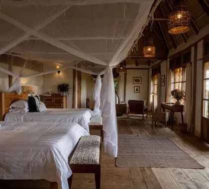 Beautiful lodgings at Kyambura Gorge Lodge