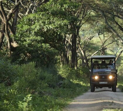 Is It Safe To Travel to Tanzania in 2024?